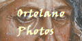 Ortolano
Photos